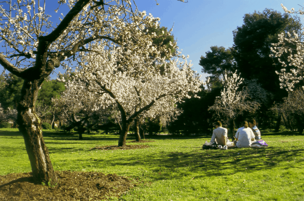 La quinta de los Molinos - Los 5 parques más románticos de Madrid