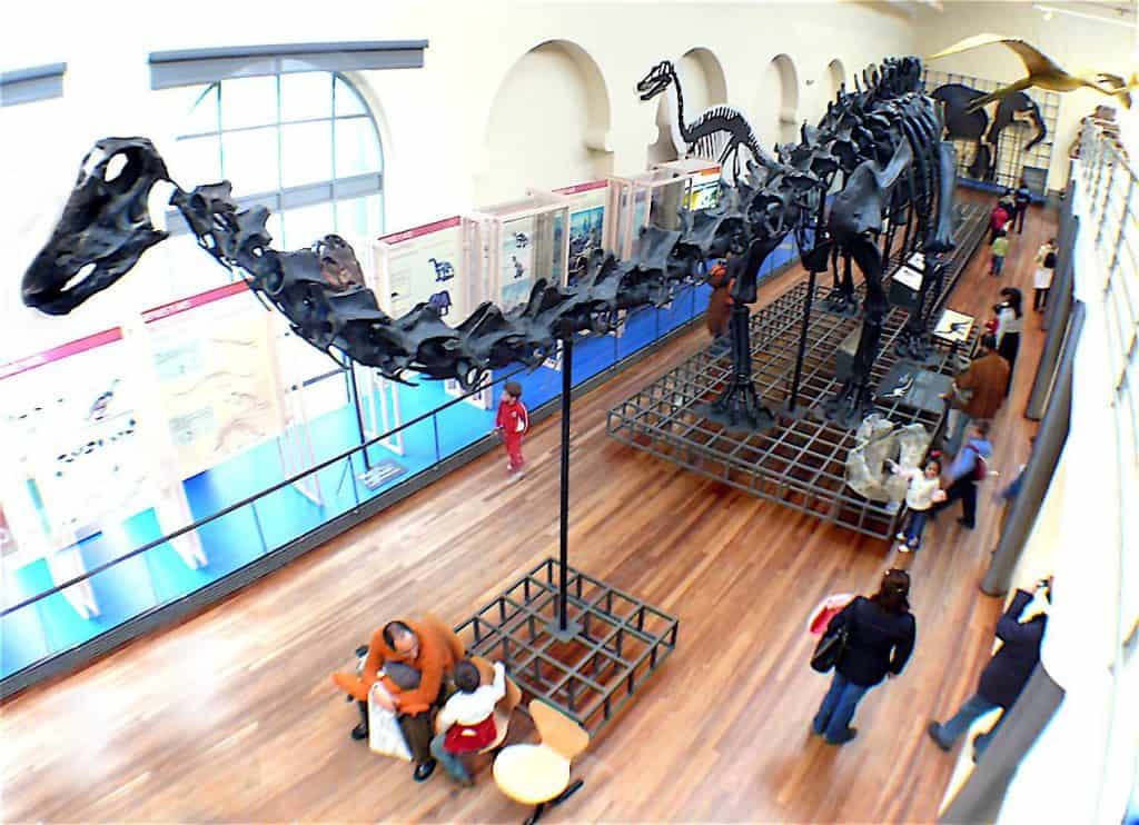 Museo Nacional de Ciencias Naturales - Los 5 mejores museos para visitar en Madrid.
