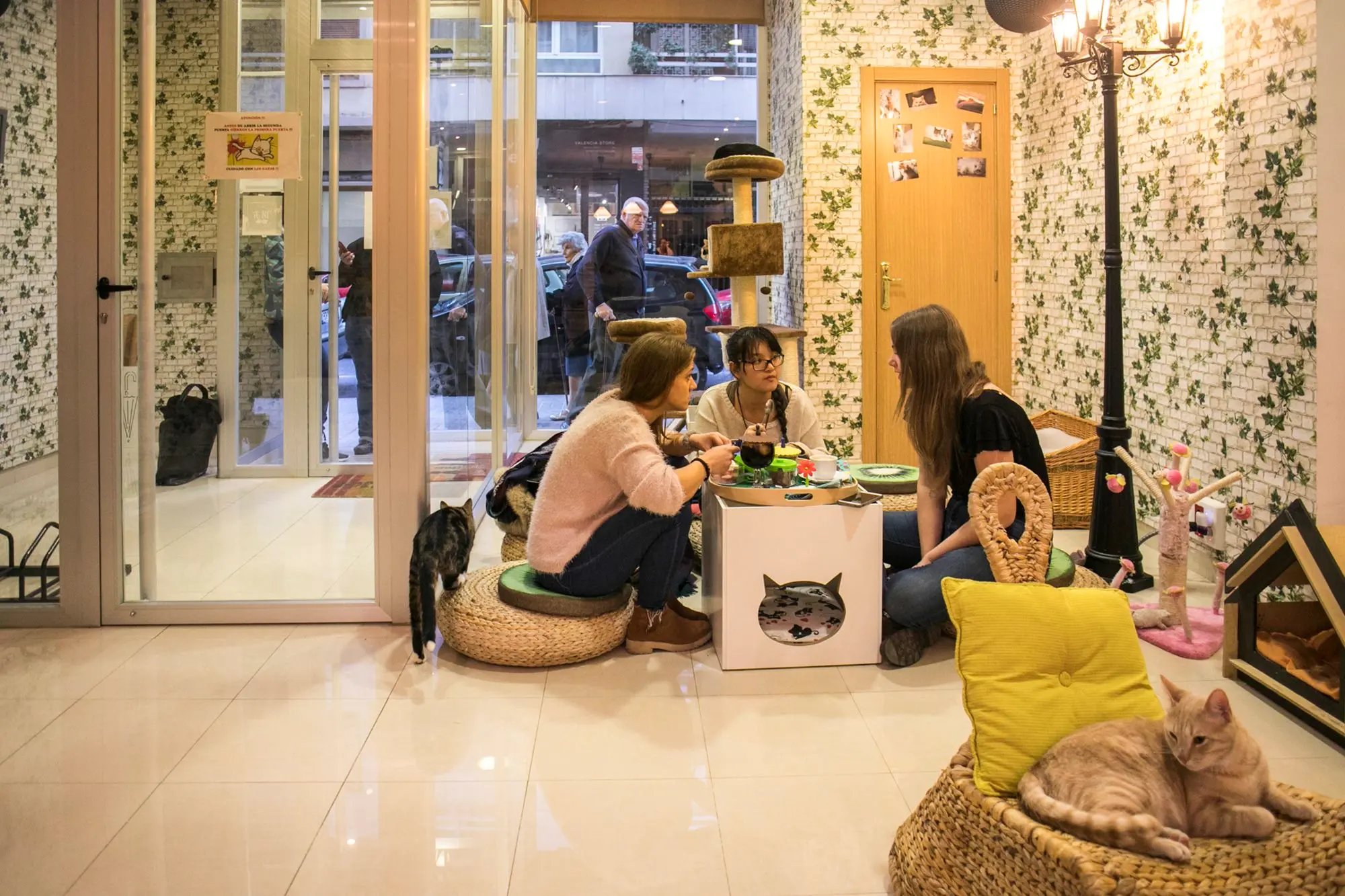 El passatge dels gats - Las cafeterías más originales de Valencia