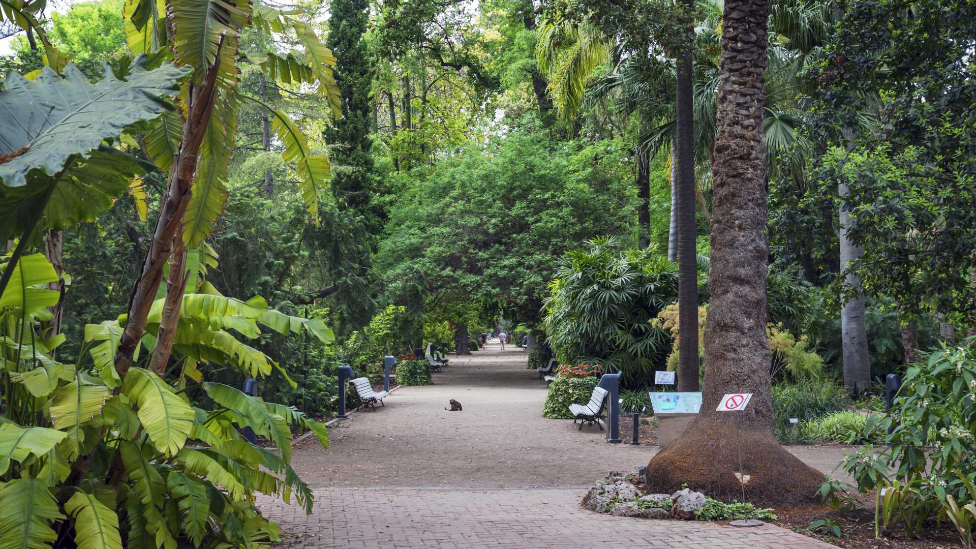 Jardín botánico - Los Mejores Parques y Jardines de Valencia