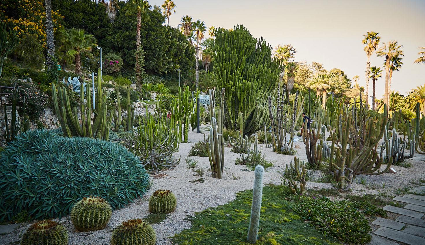 Jardines Mossèn Costa i Llobera - Los Mejores Parques y Jardines de Barcelona