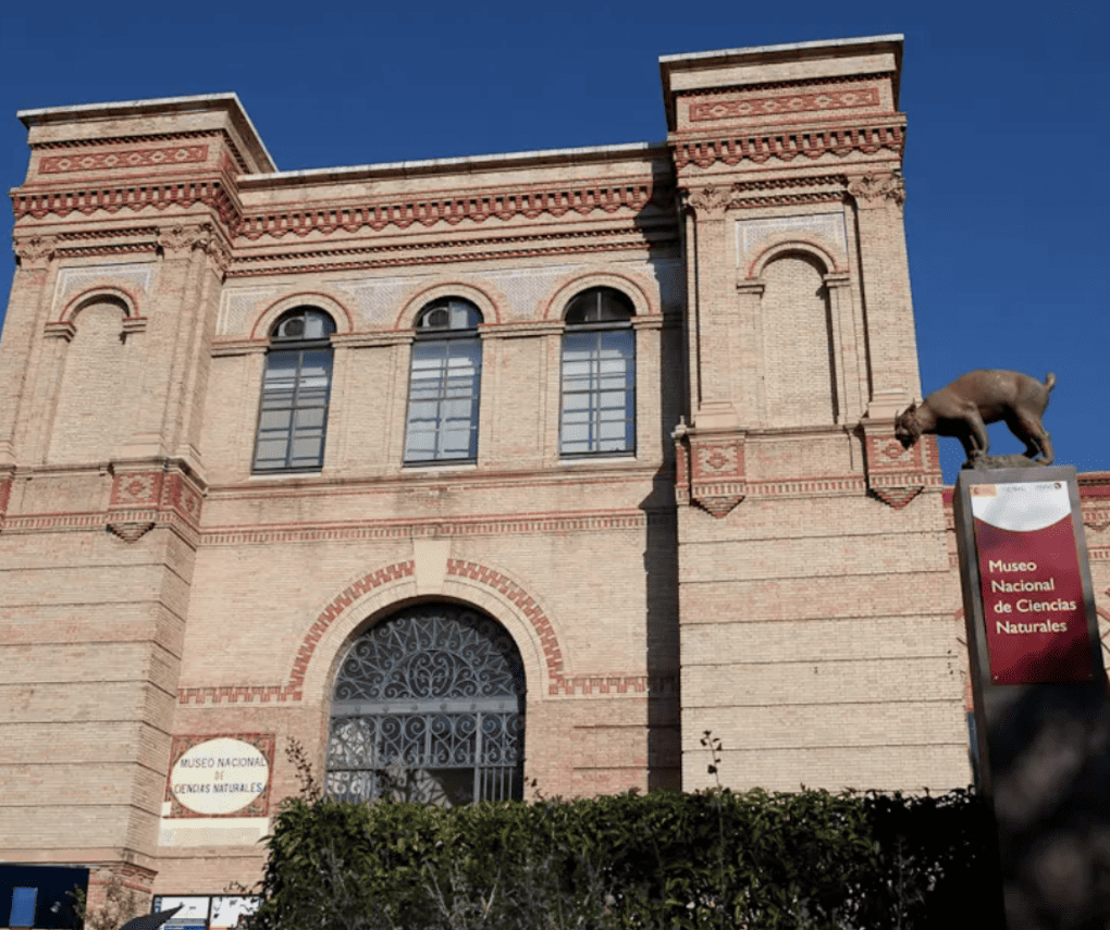 Familias y niños explorando exposiciones en el Museo de Ciencias Naturales de Madrid